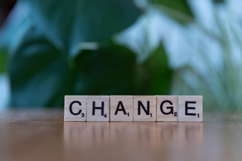 photo adaptation au changement scrabble